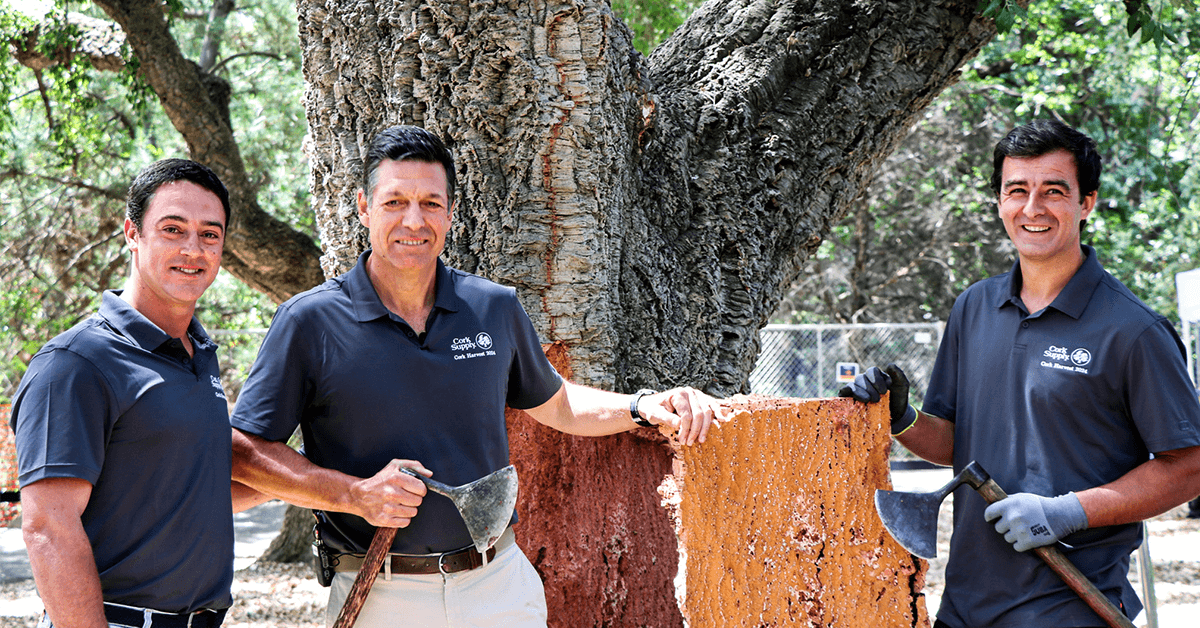 Cork Supply Advances Wine Industry Sustainability and Education Through Innovative Programs