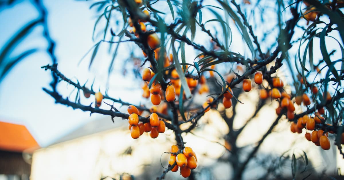 UroLux Concierge Launches Specialized Menopause Center Amid Holiday Season