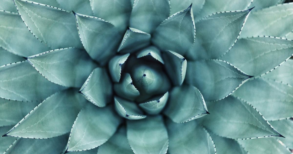 Coach Doris Launches Online Course for Subconscious Dialogue Using Voice Dialogue Methodology