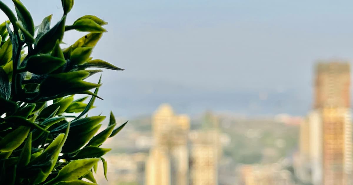 Pharos Premium Infused Beverages Wins Big at WSWA Tasting Competition