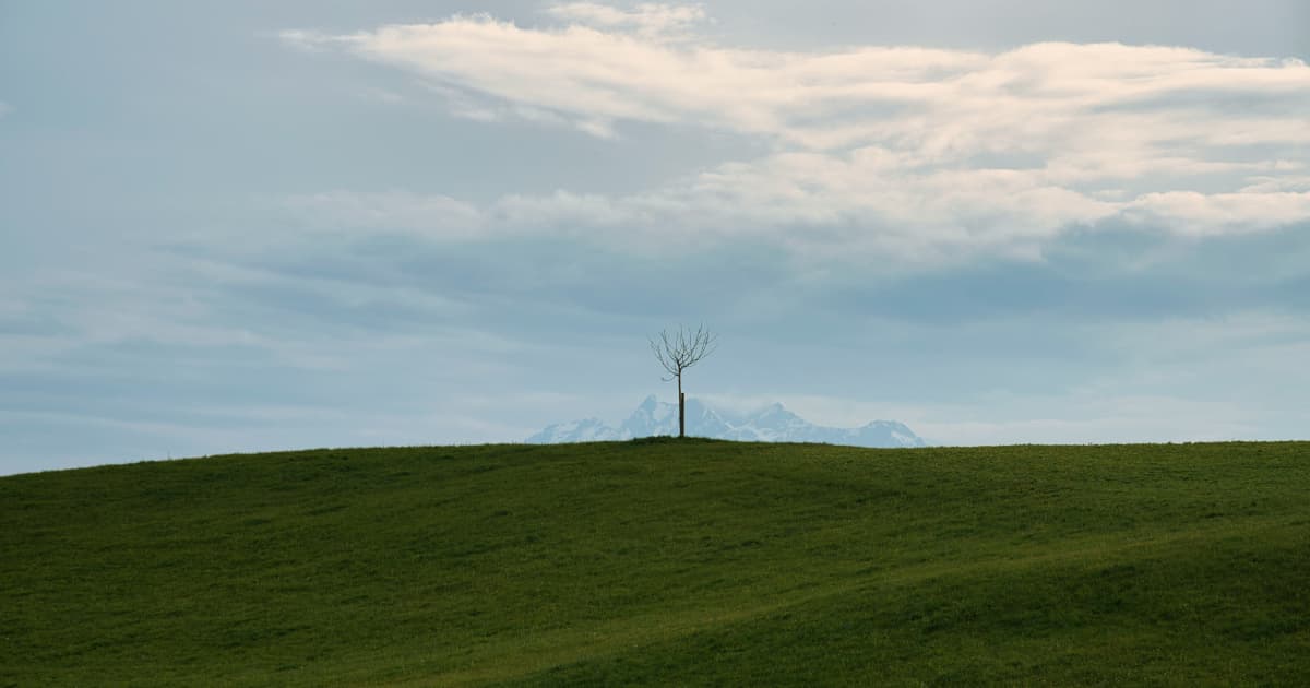 CleanGo Innovations Expands Into South America With First Shipment to Argentina