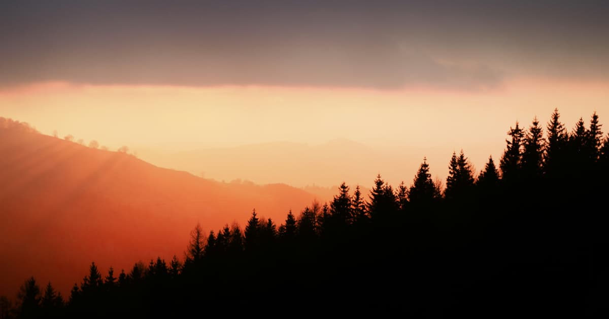 First Female Archbishop of Canterbury Installation to Feature Modern Saint John's Bible