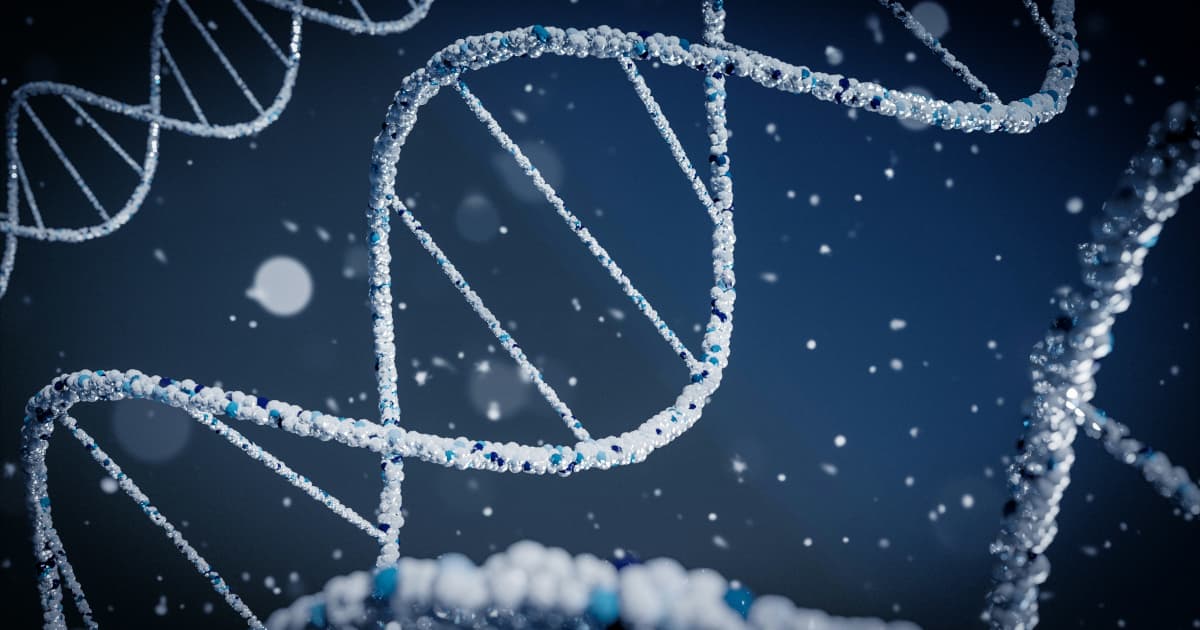 Bronco Resources Appoints New CEO and Outlines 2026 Gold Exploration Strategy