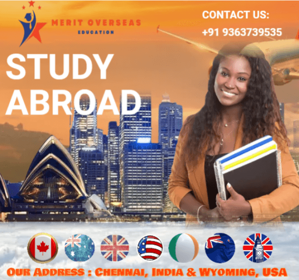 Merit Teacher Expands Services with Innovative Career Development and Educational Solutions