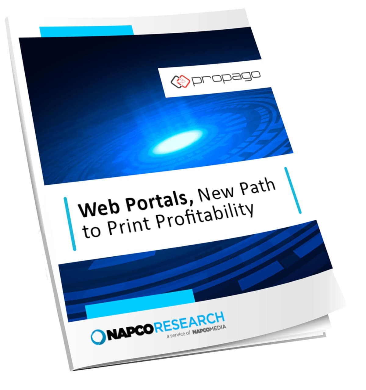 NAPCO Study: 93% of Printers Boost Sales with Custom Web Portals