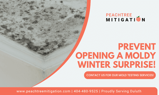 Duluth Restoration Firm Highlights Hidden Mold Risks in Humid Climate