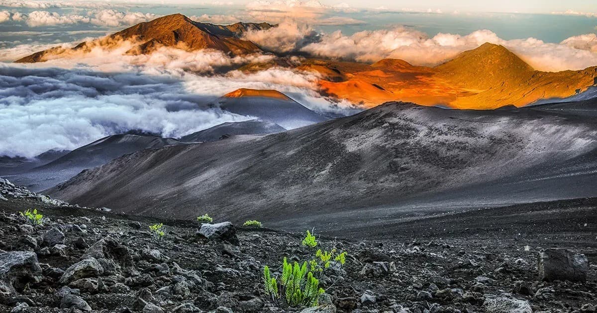 This Week Hawaii Marks 60th Anniversary with Hybrid Media Expansion and Digital Tracking Tools