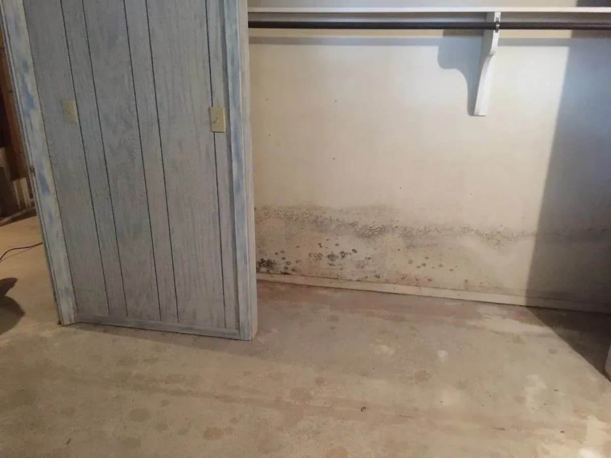 FreshCo Cleaning & Restoration Expands Mold Remediation Services in Wichita with Structured, Multi-Phase Approach