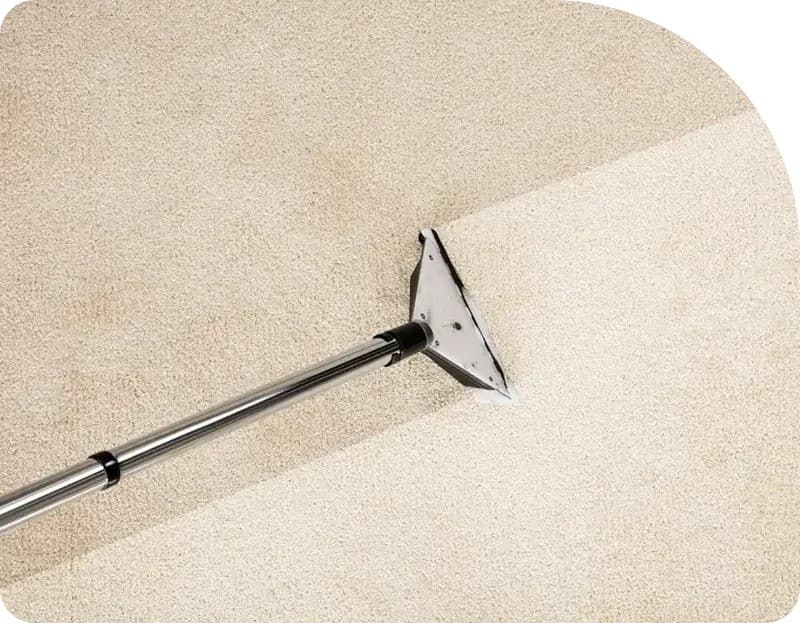 Flood Squad's Technology-Driven Approach Sets New Standards for Water Damage Restoration in Sydney