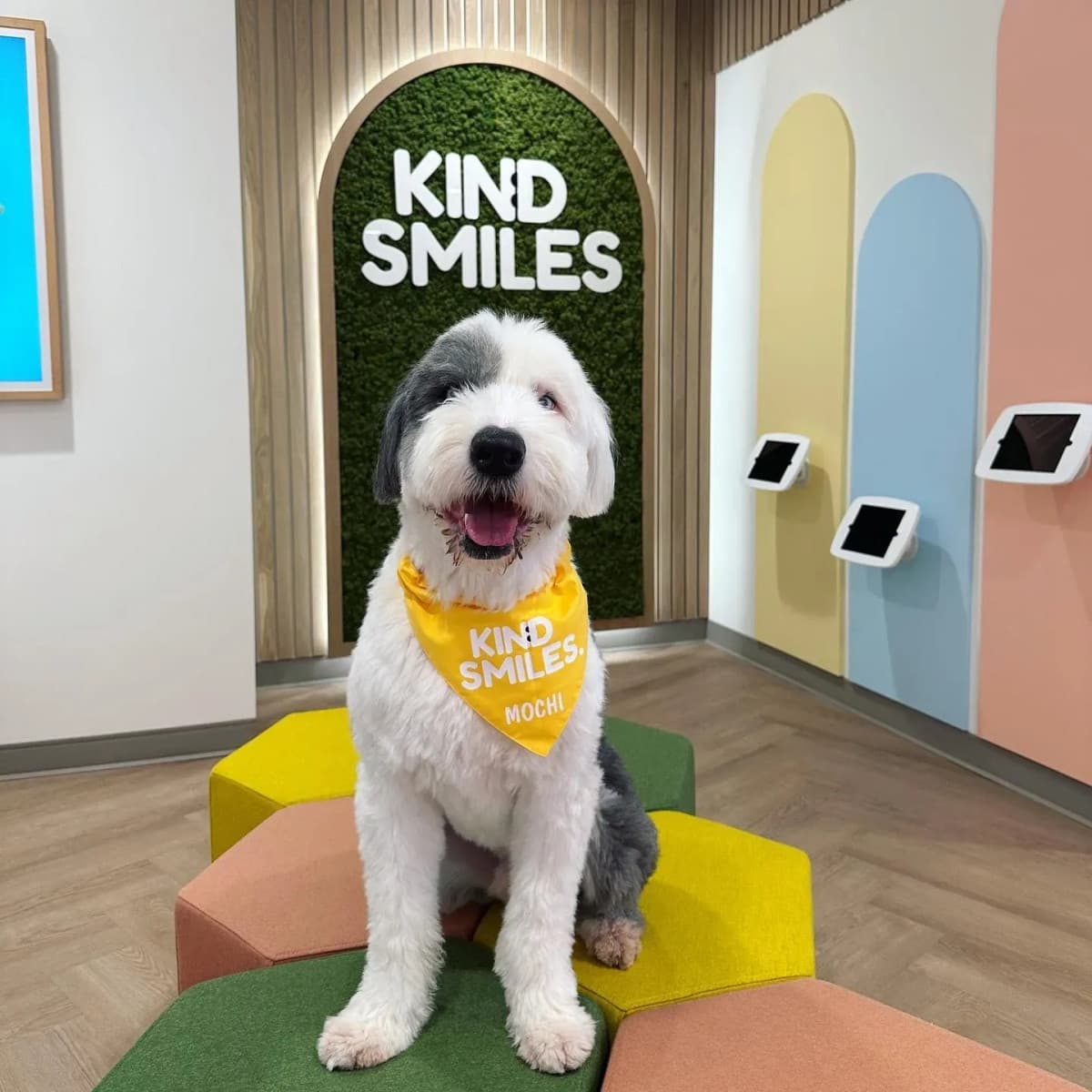 Kind Smiles Orthodontics and Pediatric Dentistry Establishes Comprehensive Family Dental Care in Irvine