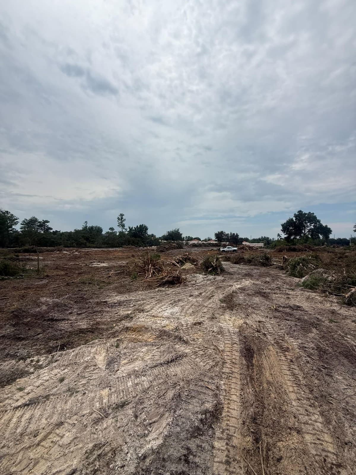 New Guide Identifies Seven Signs Your Property Needs Professional Land Clearing