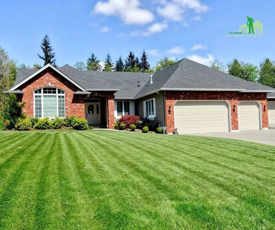 Lawn Care of Saint Johns Introduces Pet-Safe Treatment Options for Residential and Commercial Properties