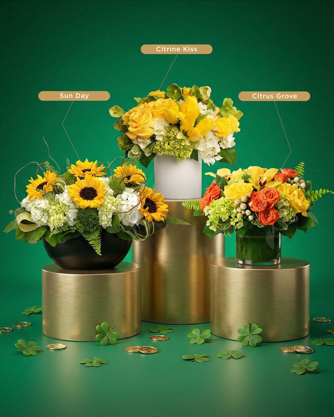 Juno Beach Florist Launches Signature Orchid Collection for Luxury Interiors