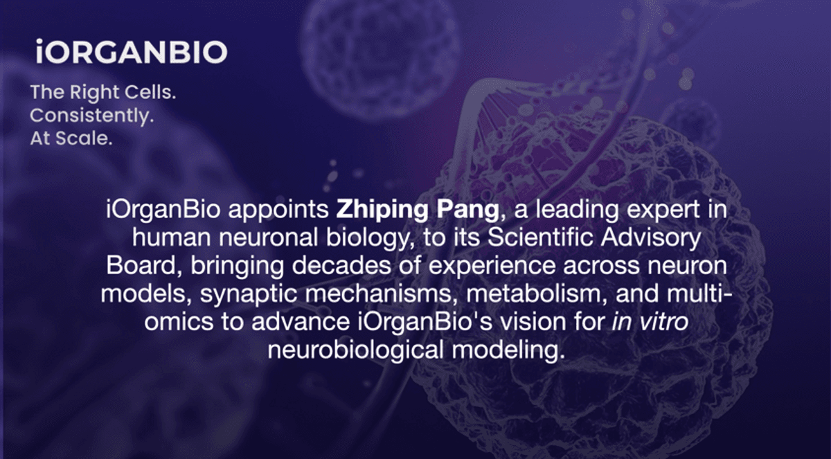 iOrganBio Appoints Leading Neuroscientist Zhiping Pang to Scientific Advisory Board