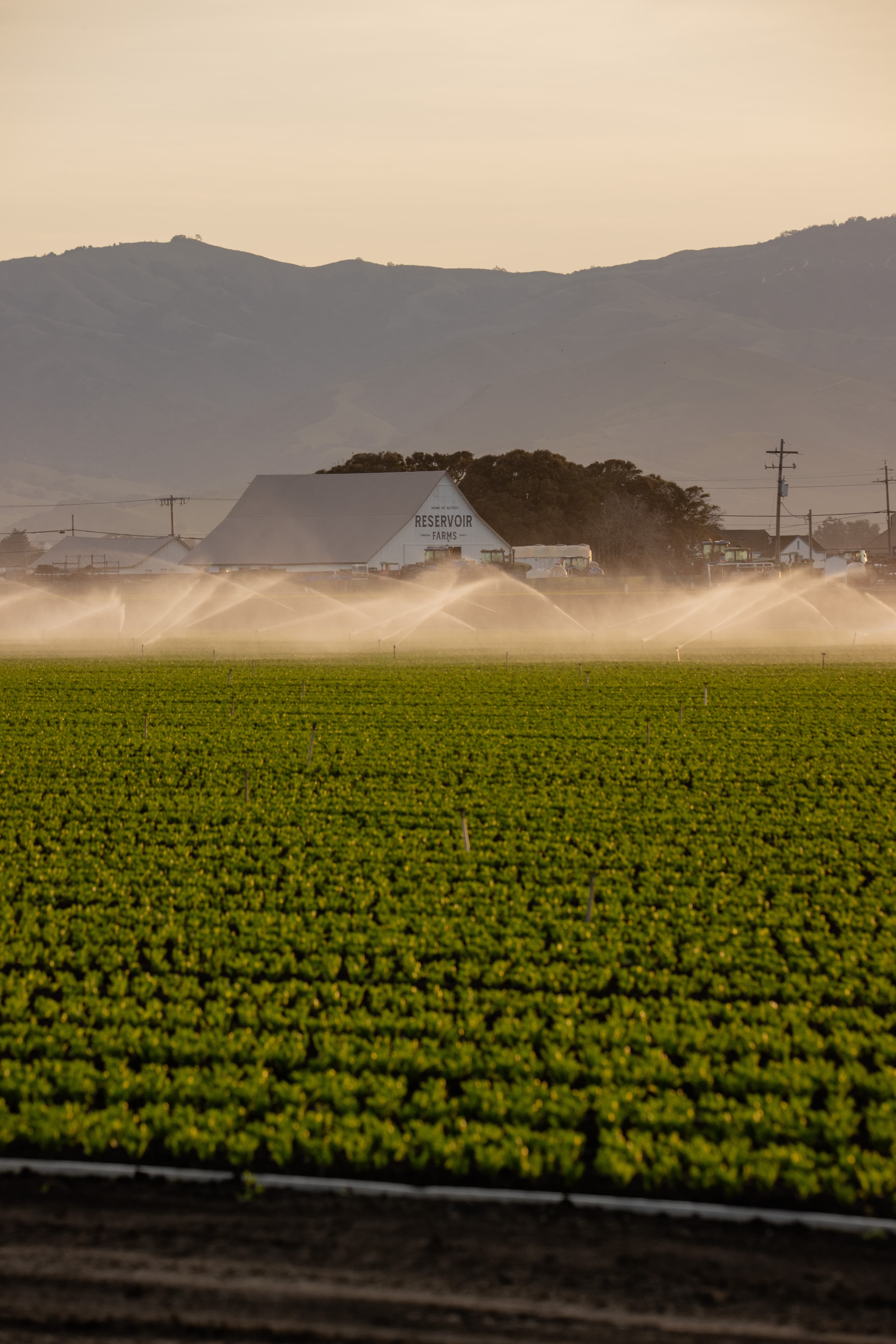 Reservoir Launches Free Associate Tier to Lower Barriers for AgTech and AI Innovation