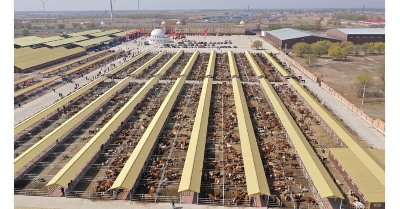 Hinggan League Unveils Integrated Agricultural and Cultural Tourism Strategy at Beijing Carnival