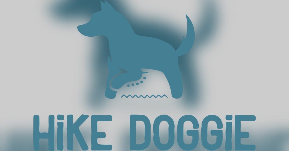 Denver Dog’s 5-Star Yelp Review Goes Viral, Highlighting Hike Doggie’s Unique Service