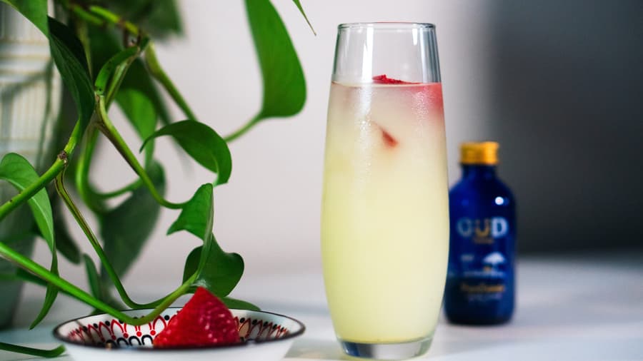 GÜD Tonics Introduces Plant-Based Wellness Drinks for a Healthier Holiday Season