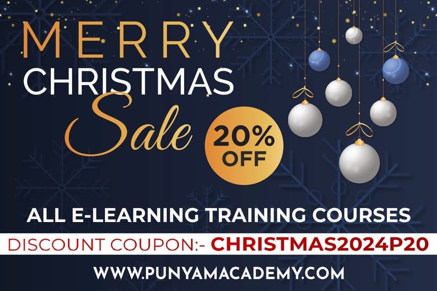Punyam Academy Announces Christmas 2024 Discount on ISO Auditor Training and Certification Courses