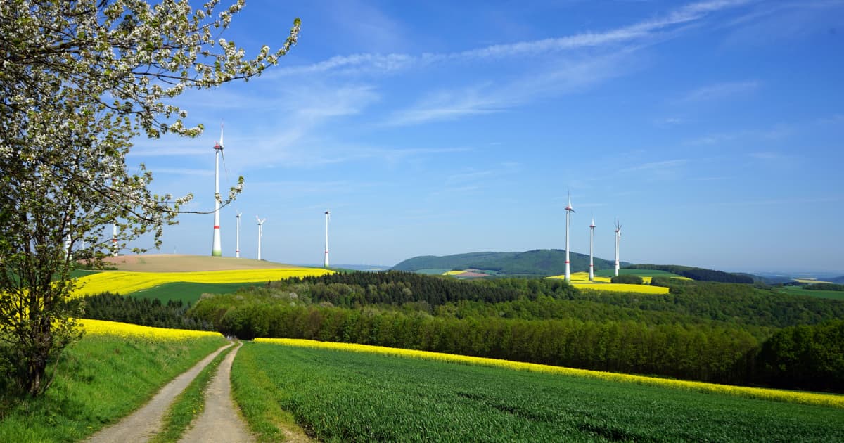 Birchtech Seeks $160 Million Patent Judgment to Fuel Water Purification Expansion