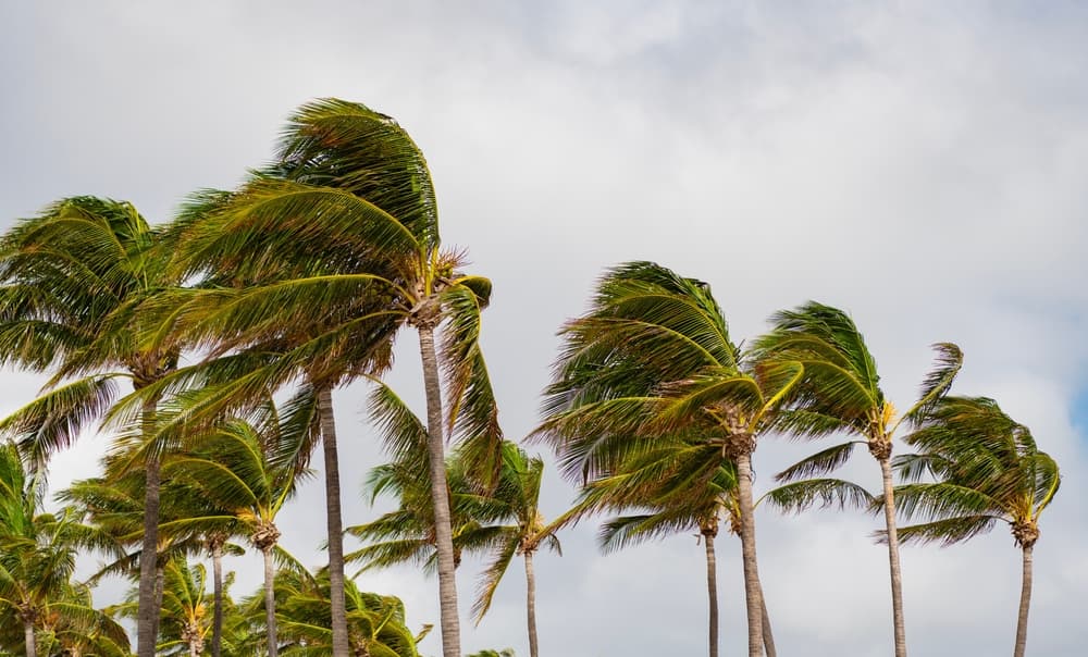 RiskFootprint Founder Albert Slap Challenges Stable NOI Assumption in Coastal CRE Underwriting