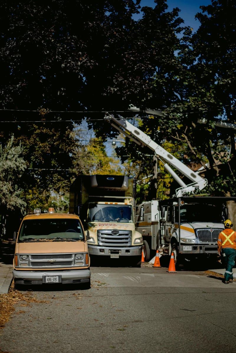 Lancaster Tree Pros Expands Professional Tree Care Services with 24/7 Emergency Response