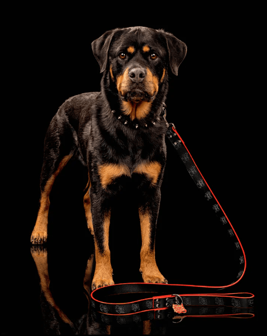 Freak On a Leash Expands Leather Dog Collar Line to Serve Alternative Pet Owners