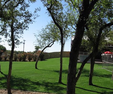 Texas Custom Turf Expands Market with Removable Synthetic Grass Rugs for Flexible Outdoor Spaces