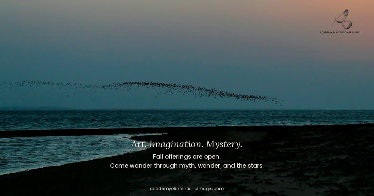 Academy of Intentional Magic Launches to Support Artists Across Disciplines